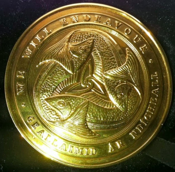 Awarded Royal Irish Academy Gold Medal for 2015. Only 12 of these have been awarded